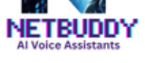 Netbuddy AI